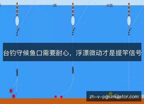 台钓守候鱼口需要耐心，浮漂微动才是提竿信号